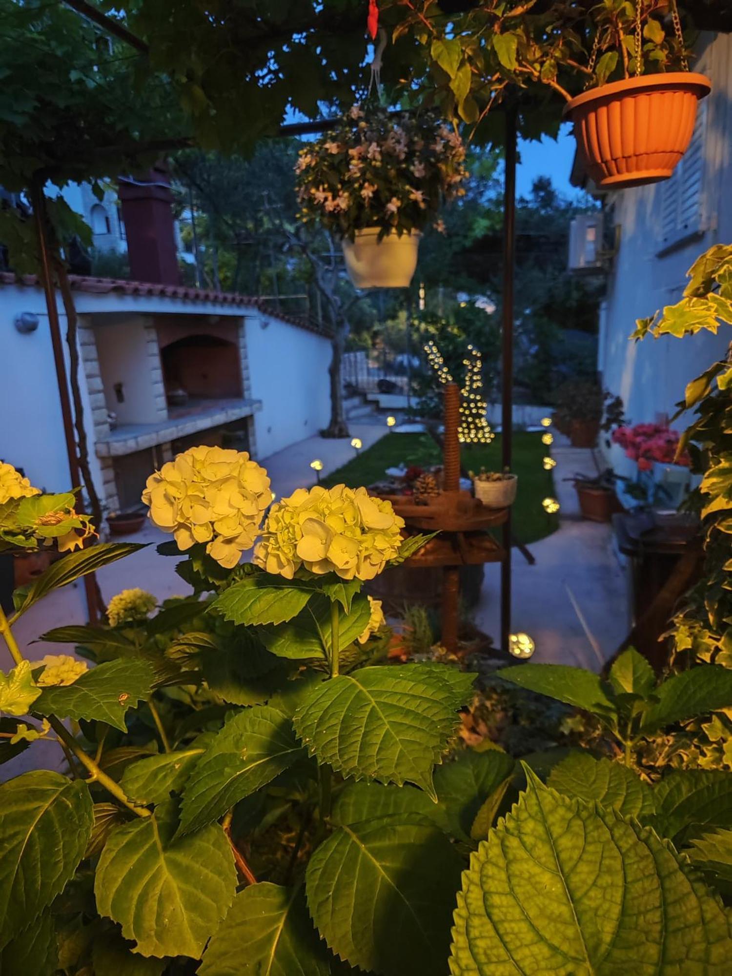 Apartmani Andela Kordic Супетарска-Драга Экстерьер фото